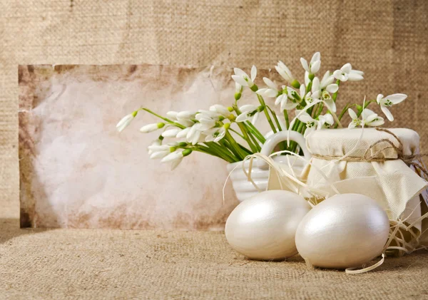 Easter eggs and snowdrops — Stock Photo, Image