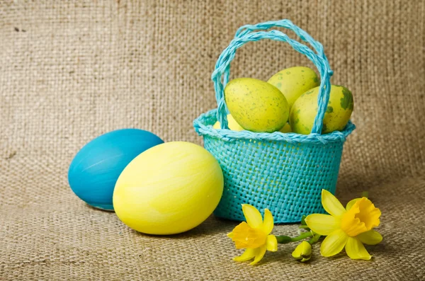 Paaseieren en narcissen in een mand — Stockfoto