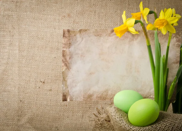 Easter eggs and daffodils — Stock Photo, Image