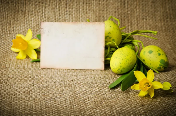 Easter decoration with eggs — Stock Photo, Image