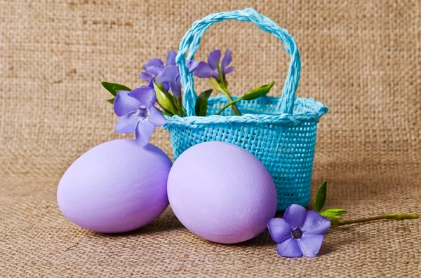 Beautiful blue periwinkle in the basket and easter eggs — Stock Photo, Image