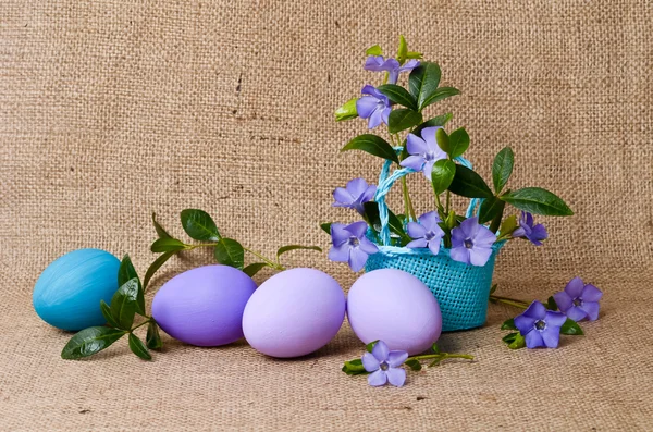 Hermoso periwinkle azul en la cesta y huevos de Pascua —  Fotos de Stock