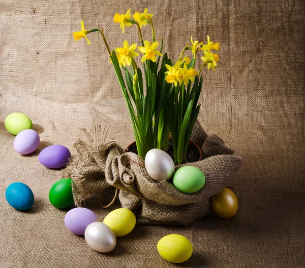 Narcisse et oeufs de Pâques colorés sur toile de jute — Photo