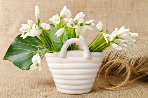 Snowdrops on burlap — Stock Photo, Image