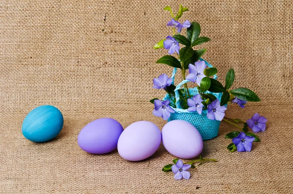 Mooie alikruiken in een blauwe klein mandje met Pasen eieren — Stockfoto