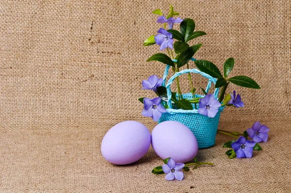Beautiful periwinkles in a blue small basket with easter eggs — Stock Photo, Image