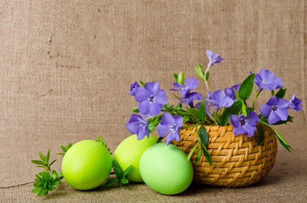 Wicker basket with beautiful blue periwinkle and Easter green eg — Stock Photo, Image