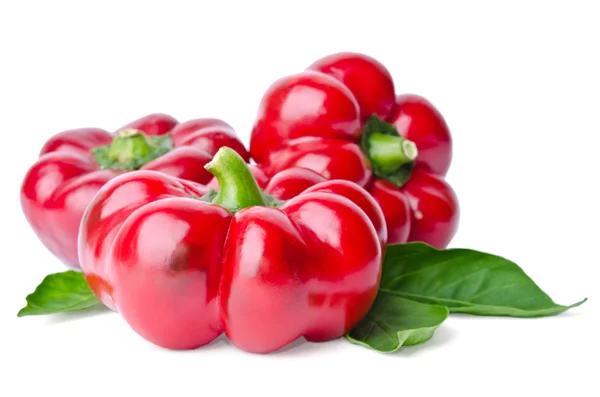 Όμορφη ζουμερό κόκκινο τσίλι πιπεριές απομονώνονται σε λευκό φόντο — Φωτογραφία Αρχείου