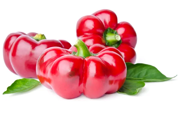 Όμορφη ζουμερό κόκκινο τσίλι πιπεριές απομονώνονται σε λευκό φόντο — Φωτογραφία Αρχείου