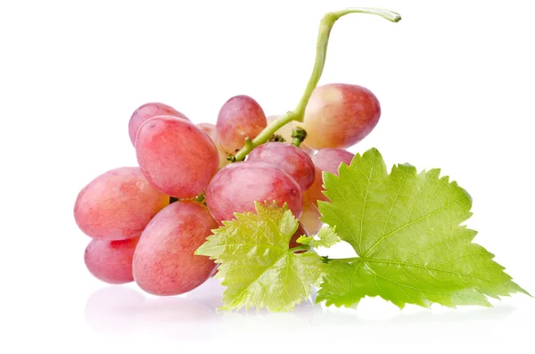 Соковитий букет винограду — стокове фото