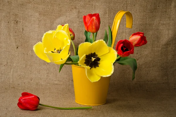 Colorful tulips in yellow pot on burlap — Stock Photo, Image