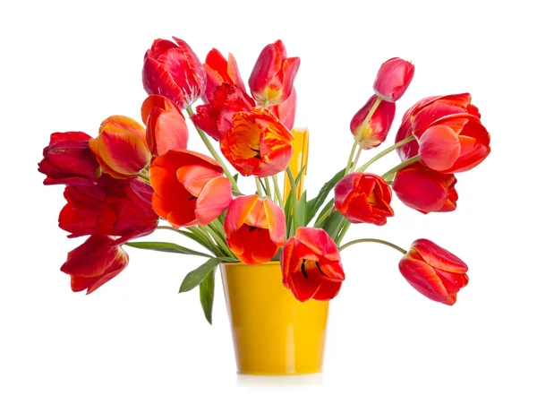 Beautiful bouquet of colorful tulips in yellow pot isolated on w — Stock Photo, Image