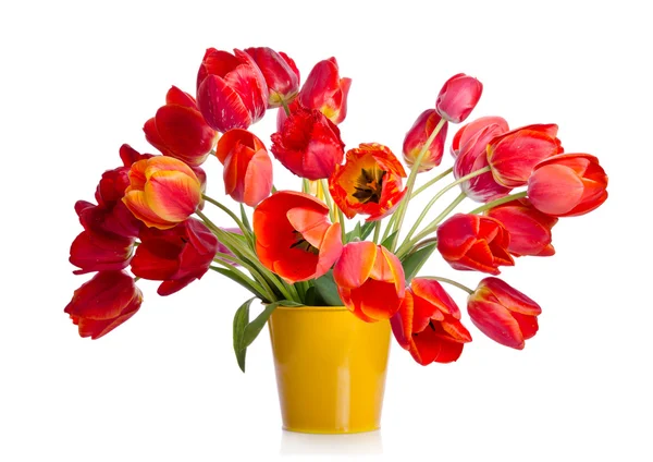 Beautiful bouquet of colorful tulips in yellow pot isolated on w — Stock Photo, Image