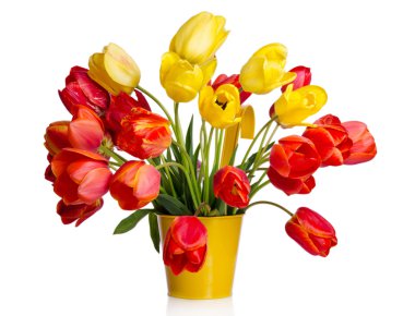 güzel sarı tencerede w izole renkli Lale buketi