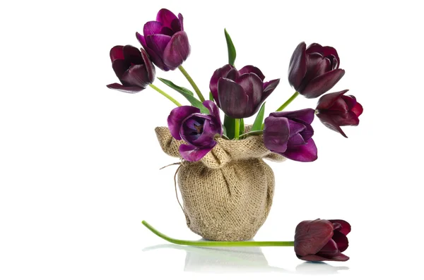 Beautiful purple tulips in a vase decoration in burlap isolated — Stock Photo, Image