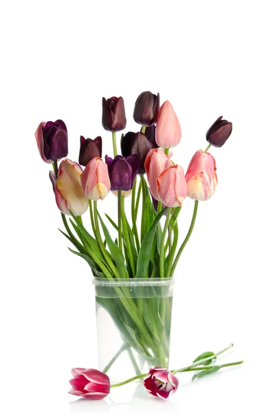 Mooi boeket van tulpen in transparante vaas geïsoleerd op whit — Stockfoto