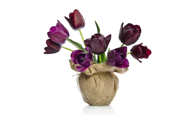 Beautiful purple tulips in a vase decoration in burlap isolated — Stock Photo, Image