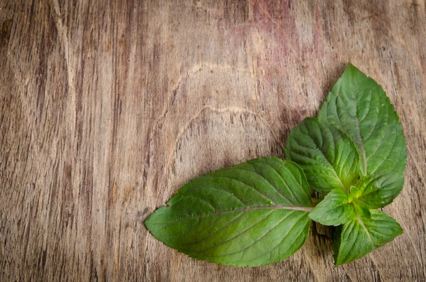 A sprig of mint on wooden table — Stock Photo, Image