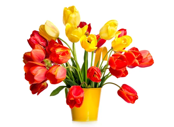 Mooi boeket van kleurrijke tulpen in gele pot geïsoleerd op w — Stockfoto