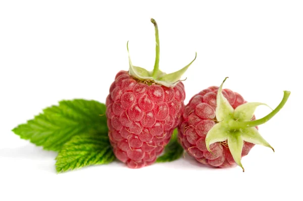 Zwei süße reife Himbeeren isoliert auf weißem Hintergrund — Stockfoto