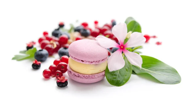 Scattering Red Blue Berries White Flower Green Leaves Violet Macaron — Stock Photo, Image