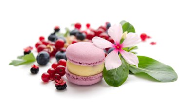 Kırmızı ve mavi böğürtlen serpintisi. Beyaz çiçek ve yeşil yapraklar. Menekşe makaronu.