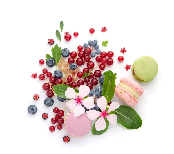 Scattering Red Blue Berries White Flowers Green Leaves Multicolored Macarons — Stock Photo, Image