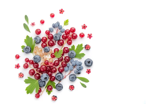 Red Currants Blueberries Green Leaves Composition White Background — Stock Photo, Image