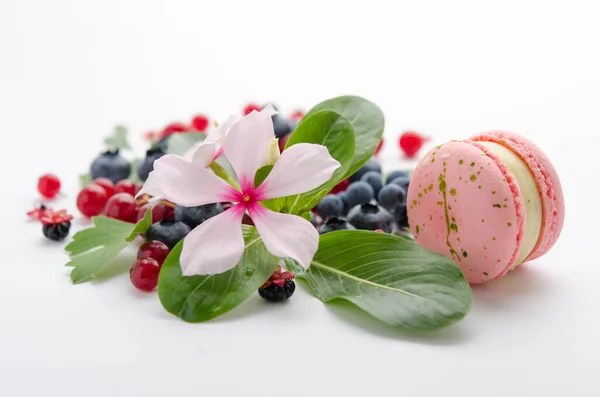 Scattering Red Blue Berries White Flower Green Leaves Pink Macarons — Fotografia de Stock