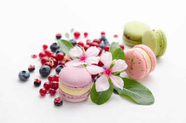 Kırmızı ve mavi böğürtlen serpintisi. Beyaz çiçekler ve yeşil yapraklar. Çok renkli badem kurabiyeleri.