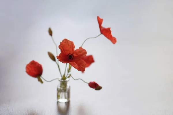 Ramo Flores Las Amapolas Rojas Son Flores Silvestres Botella Vidrio —  Fotos de Stock