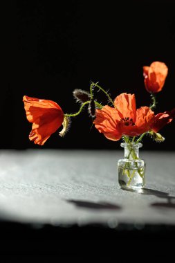 Bir buket haşhaş. Siyah bir taş yüzeyde gölgeler.