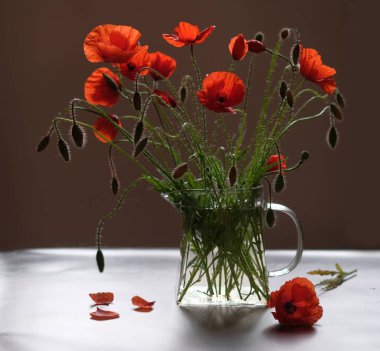 Bir buket çiçek. Kırmızı gelincikler yabani çiçeklerdir. Cam çaydanlık..