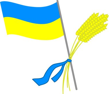 Ukrayna bayrağı mavi kurdeleyle bağlanmış sarı buğday kulakları. Ukrayna 'da savaş yok.