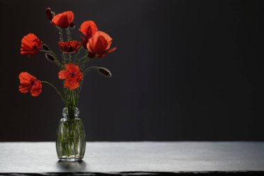 Bir buket haşhaş. Siyah bir taş yüzeyde gölgeler.