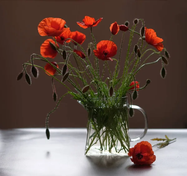 Bouquet Flowers Red Poppies Wild Flowers Glass Teapot — Stock Photo, Image