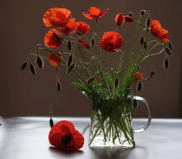 一束花 红罂粟是野花 玻璃茶壶 — 图库照片