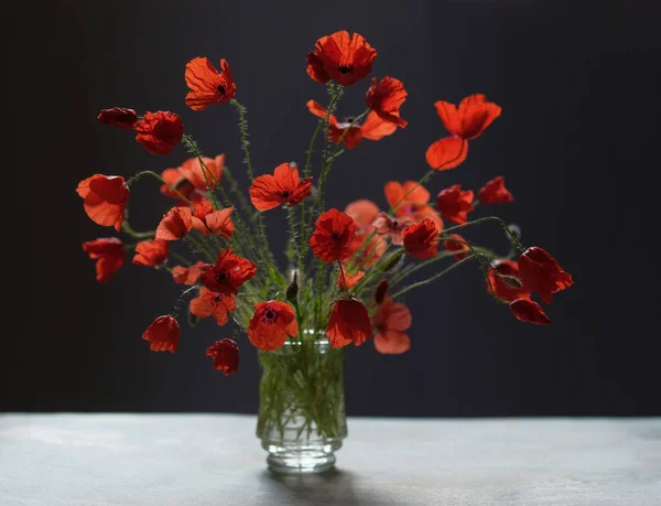 Bouquet Poppies Shadow Black Stone Surface — Stock Photo, Image