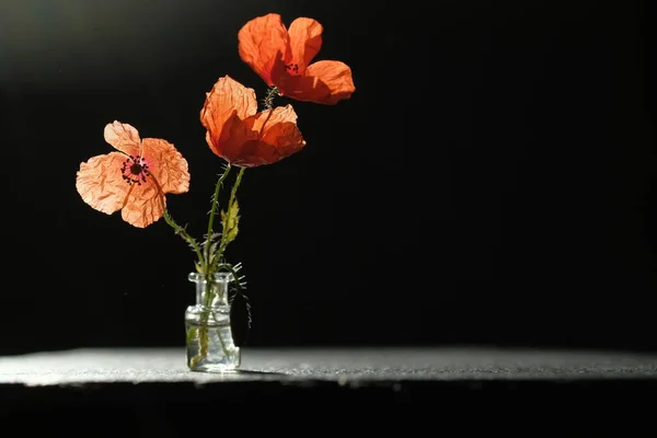 Boeket Papavers Schaduw Een Zwart Stenen Oppervlak — Stockfoto