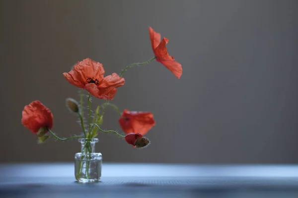 Ramo Flores Las Amapolas Rojas Son Flores Silvestres Botella Vidrio —  Fotos de Stock