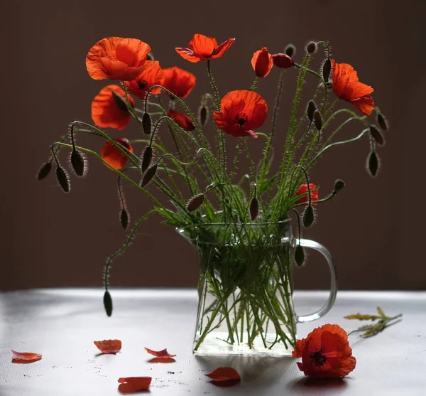 Ramo Flores Las Amapolas Rojas Son Flores Silvestres Tetera Vidrio —  Fotos de Stock