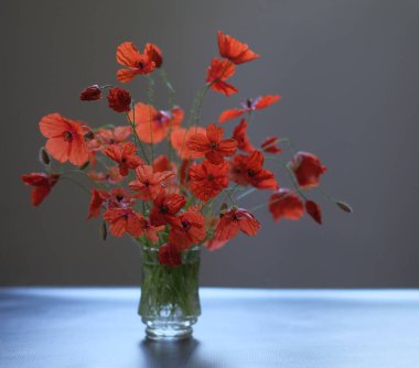 Bardakta bir buket çiçek. Kırmızı gelincikler kır çiçekleridir..