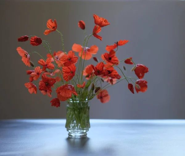 Bouquet Flowers Glass Red Poppies Wildflowers — Stock Photo, Image