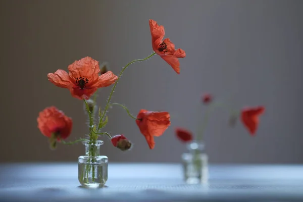 Ramo Flores Las Amapolas Rojas Son Flores Silvestres Botella Vidrio —  Fotos de Stock