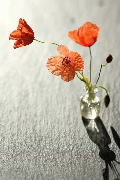 Bouquet Poppies Shadow Black Stone Surface — Stock Photo, Image