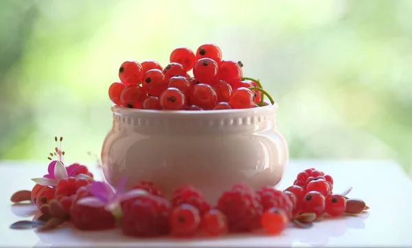 Grosellas Rojas Frambuesas Flores Pequeñas Platos Blancos Bayas Rojas Jugosas —  Fotos de Stock