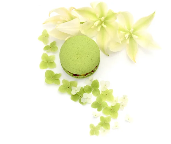 Green Sweet Macaron Leaves White Flowers Still Life — Stockfoto