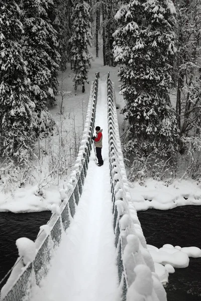 Ponte pedonale Parco nazionale di Oulanka. Finlandia . — Foto Stock