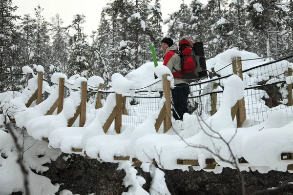 Národní park oulanka lávka. Finsko. — Stock fotografie