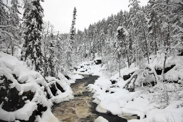 Paesaggio invernale — Foto Stock